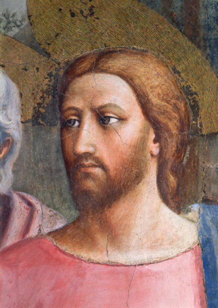 Detail of The Tribute Money: Christ's Head, detail, c.1427 by Tommaso Masaccio