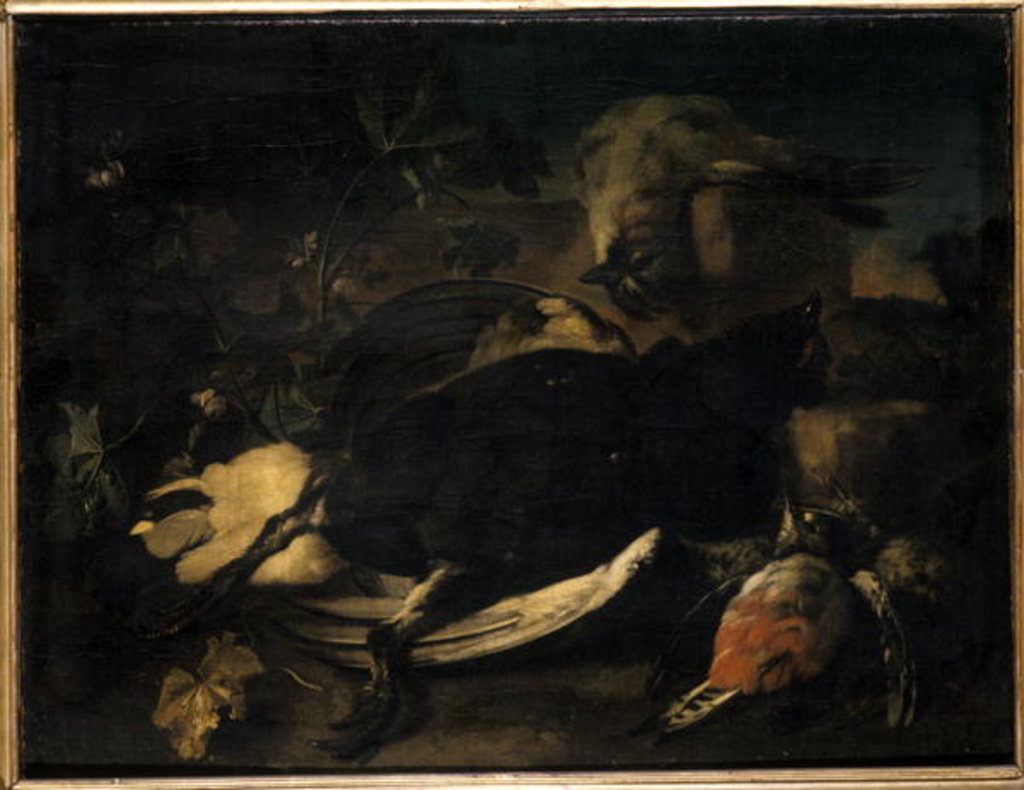 Detail of Dead fowl by Franz Werner Tamm