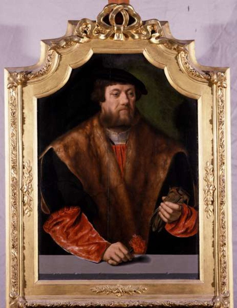 Detail of Portrait of a Nobleman, 1544 by Bartholomaeus the Elder Bruyn