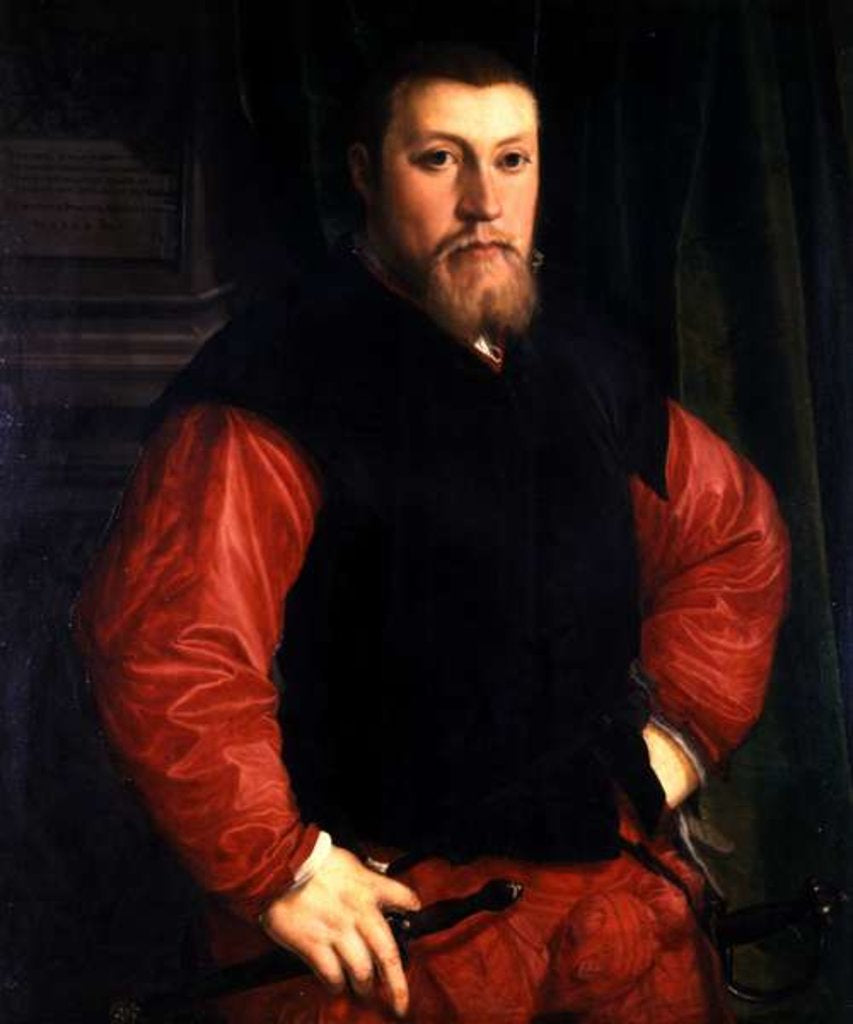 Detail of Hieronymus Sulczer, 1542 by Christoph Amberger