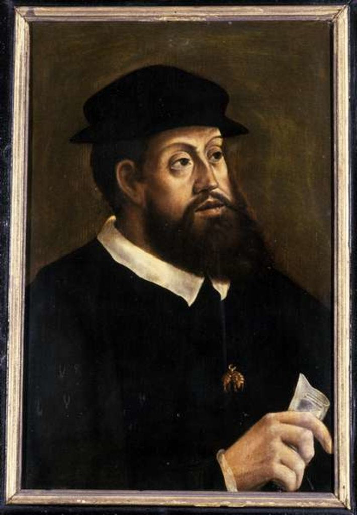 Detail of King Charles V, 1501-1600 by German School
