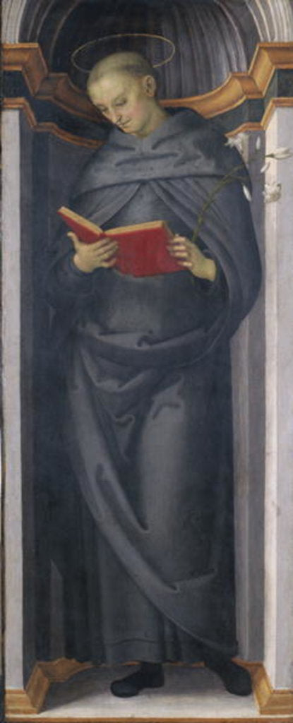 Detail of The Blessed Philip Benitius, c.1505-6 by Pietro Perugino