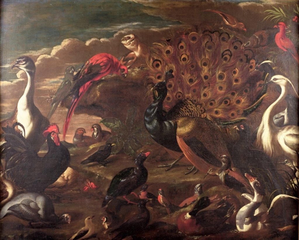 Detail of The Birds and the Beasts by Jacob van der (1637-1712) Kerckhoven
