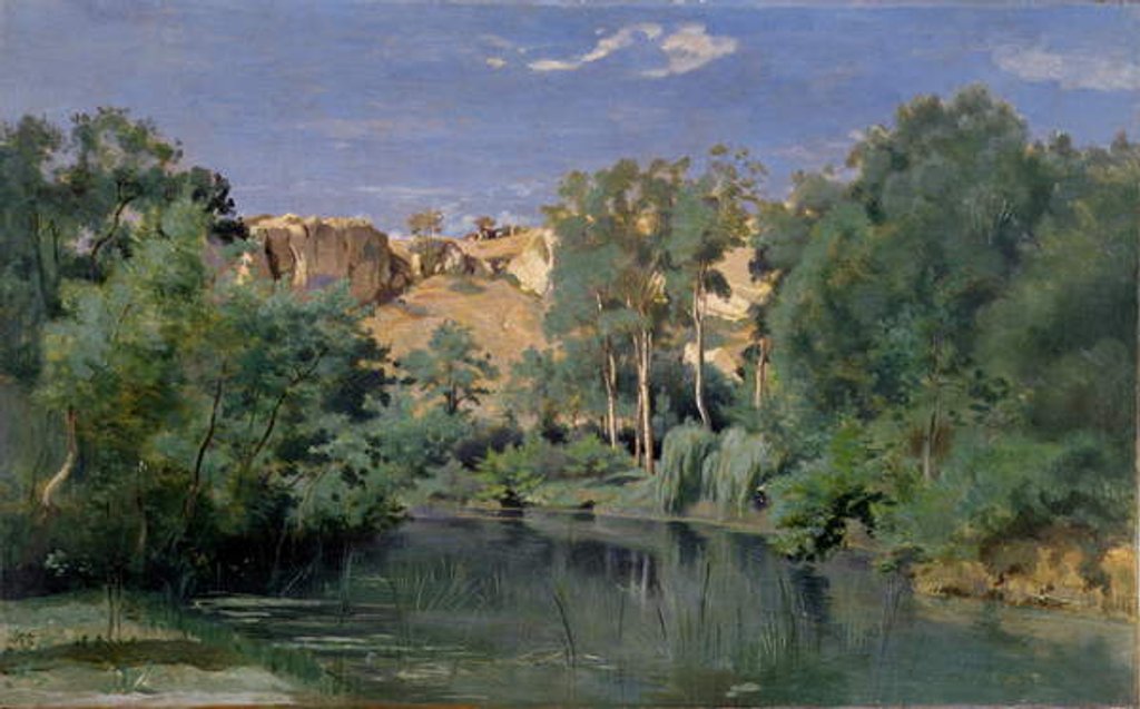 Detail of Wooded Landscape with a Pond, c.1830's by Jean Baptiste Camille Corot
