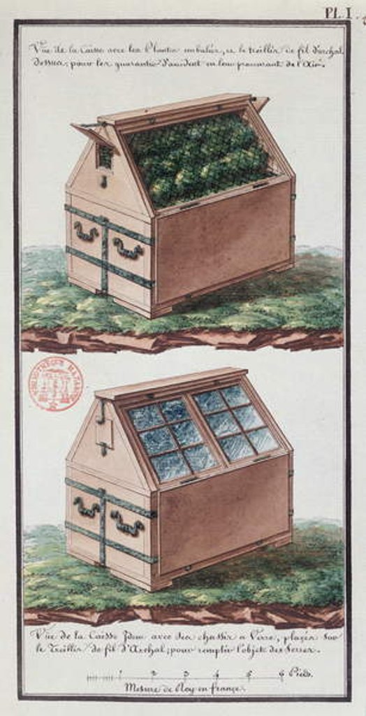 Detail of Illustration of a chest of drawers for transporting plants by Gaspard Duche de Vancy