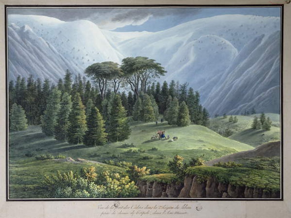 Detail of View of the Cedar Forests of Lebanon seen from the Tripoli Road, c.1800 by Louis Francois (after) Cassas