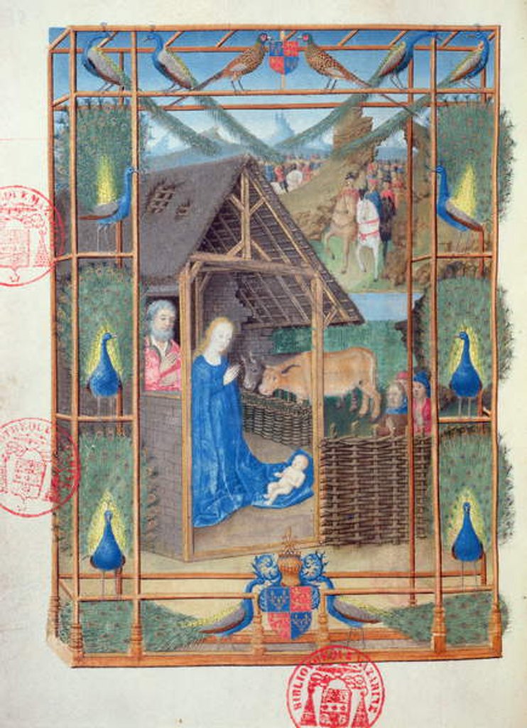 Detail of Ms 473 The Nativity with peacocks by French School