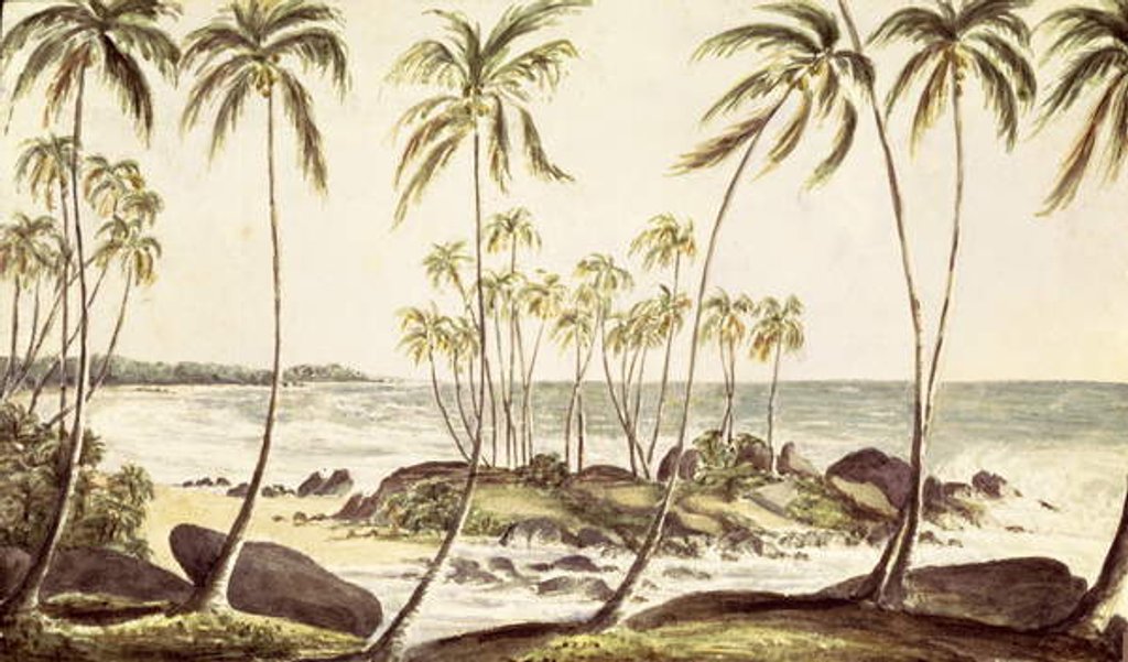 Detail of Kosgoda Beach, Ceylon, c.1835 by English School