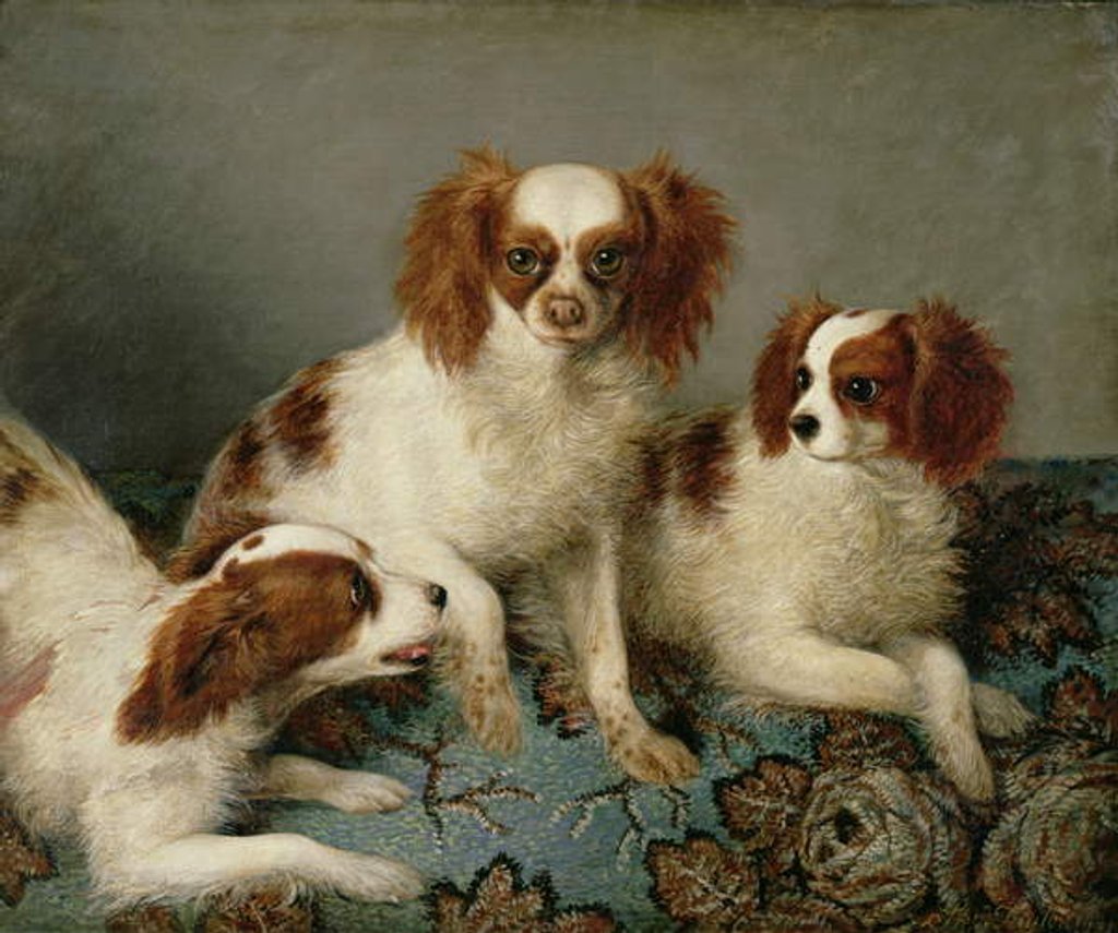 Detail of Three Cavalier King Charles Spaniels on a Rug by English School