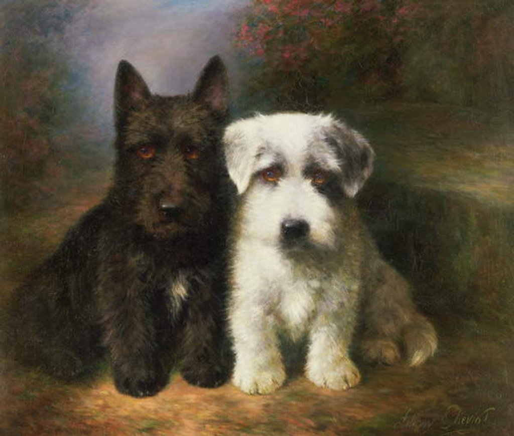 Detail of A Scottish and a Sealyham Terrier by Lilian Cheviot