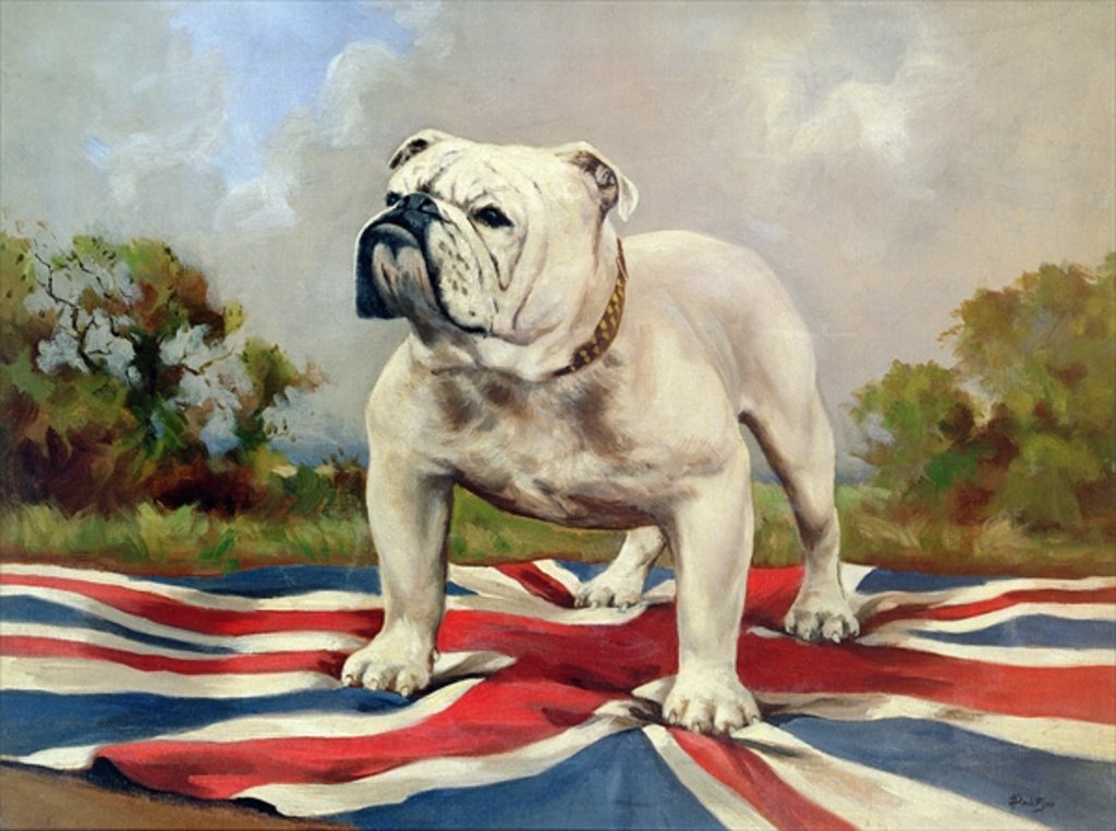Detail of British Bulldog by English School