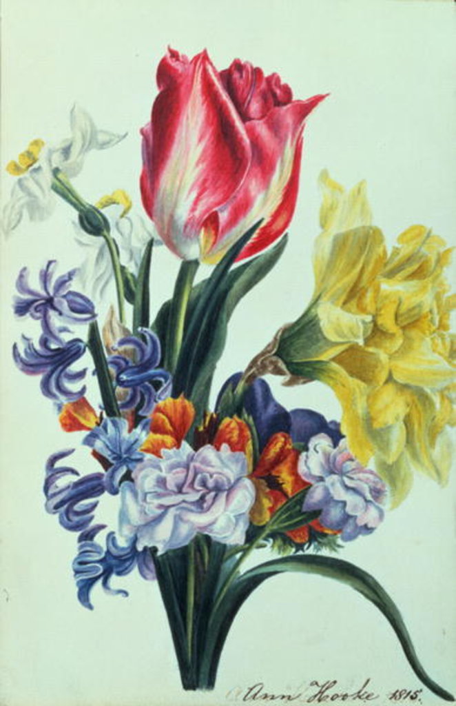 Detail of Spring Flowers, 1815 by Anne Hooke