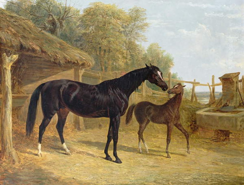 Detail of Levity, the property of J.C.Cockerill Esq., with her foal Queen Elizabeth, the property of Lord Dorchester, 1843 by John Frederick Herring Snr