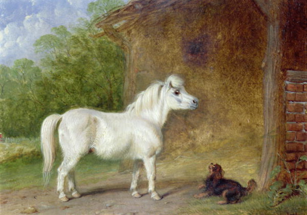 Detail of A Shetland pony and a King Charles spaniel by Martin Theodore Ward