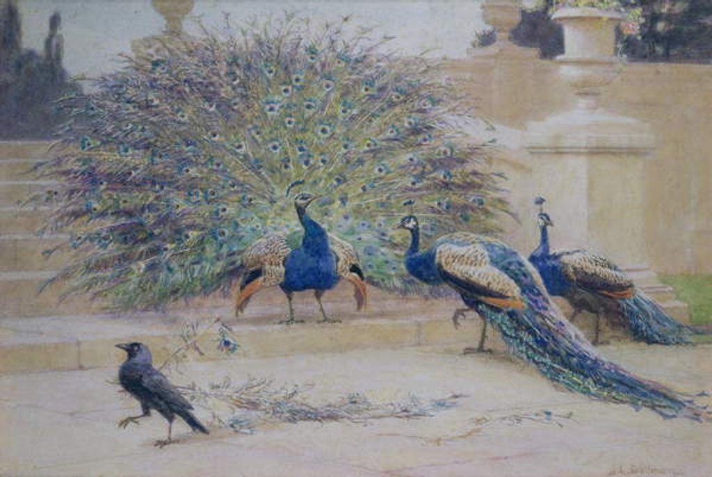 Detail of The Borrowed Plume by John Charles Dollman