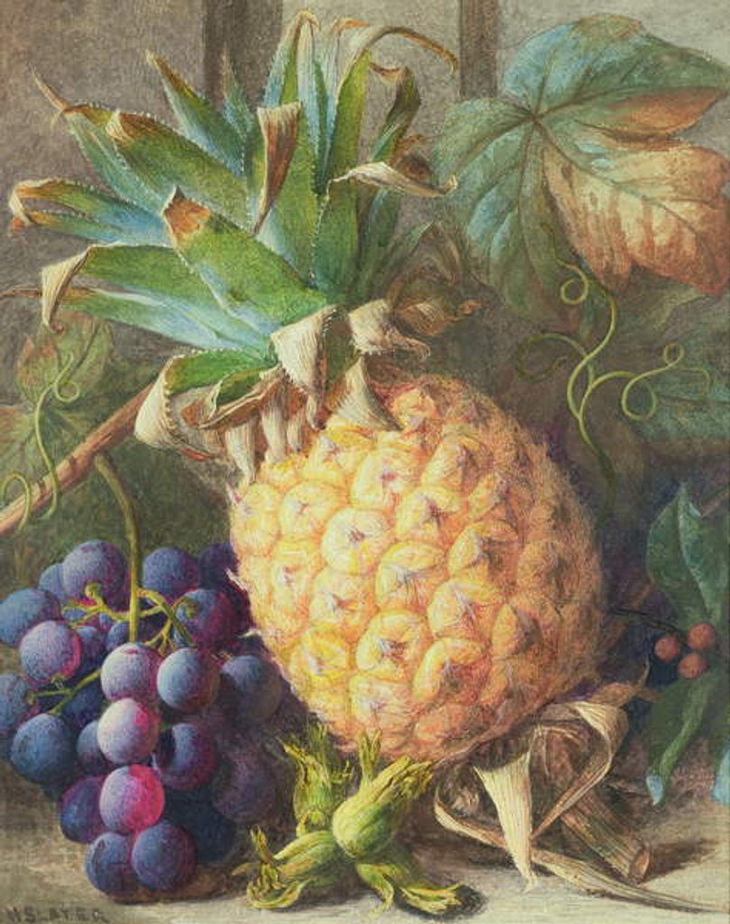 Detail of Still Life of a Pineapple and Grapes by Charles H. Slater