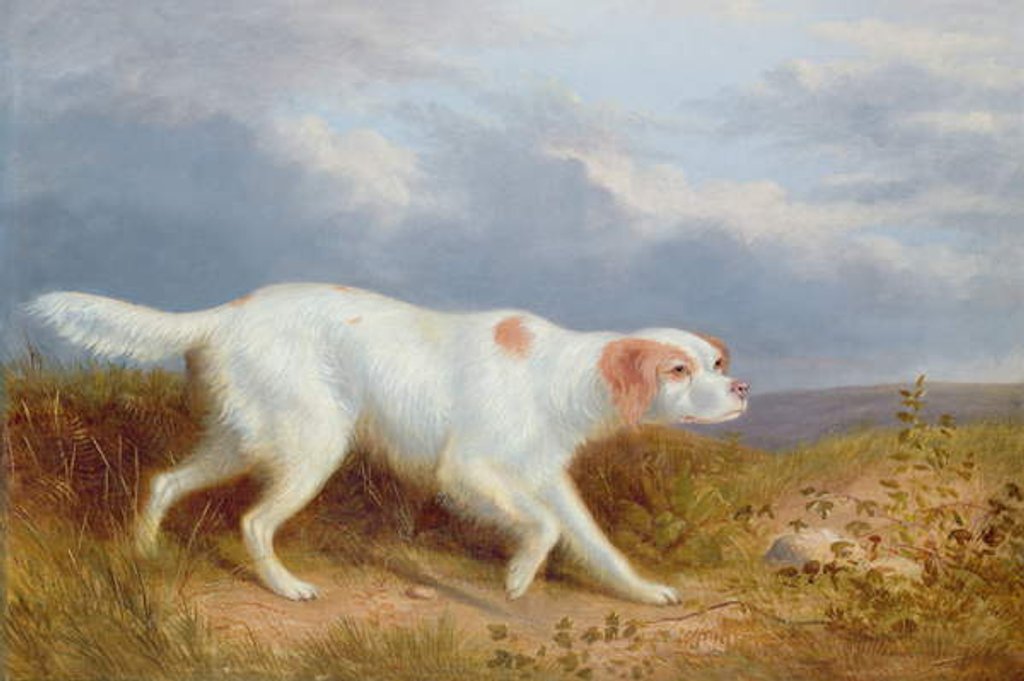 Detail of A Setter on the Moor by Philip Reinagle