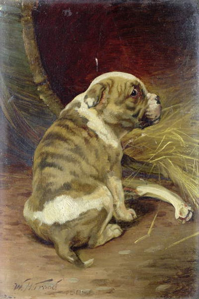 Detail of Give a Dog a Bone, 1888 by William Henry Hamilton Trood