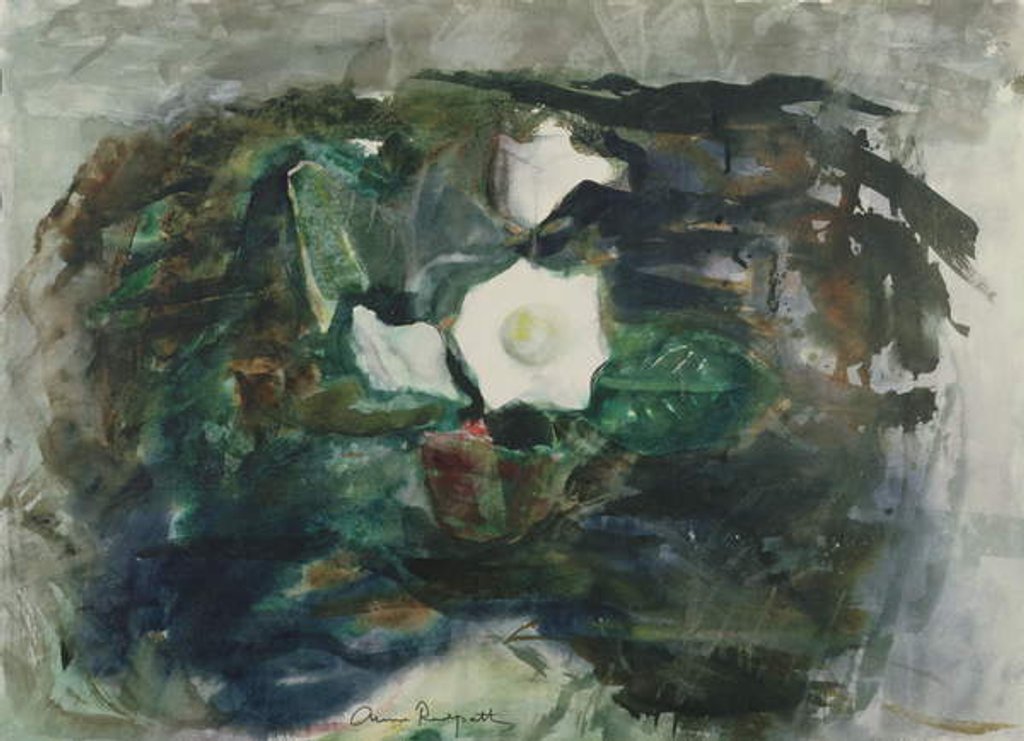 Detail of White Gloxinia, 1964 by Anne Redpath