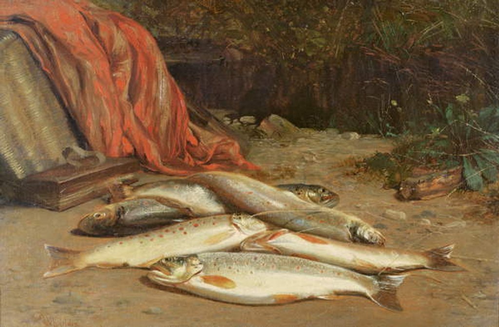 Detail of Brown trout on a river bank by William Geddes