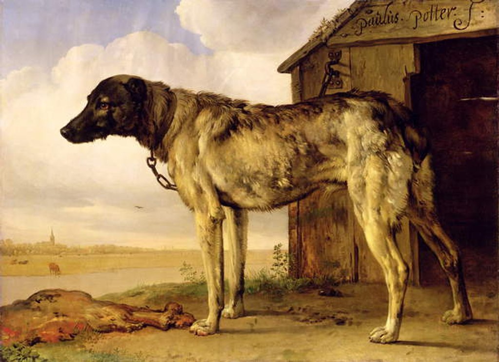 Detail of Dog on a Chain, 1653-4 by Paulus Potter