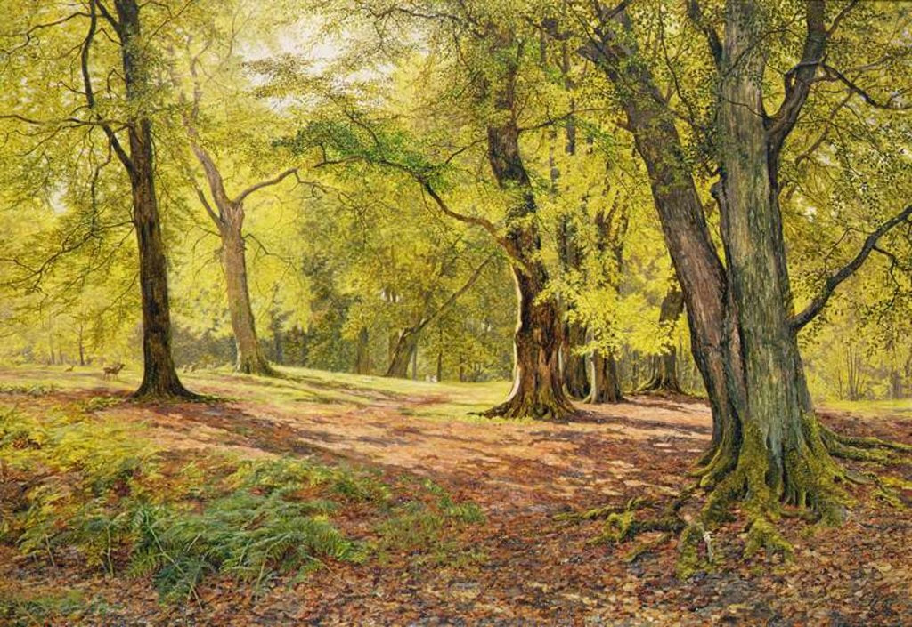 Detail of In the Beechwoods by William Samuel Jay