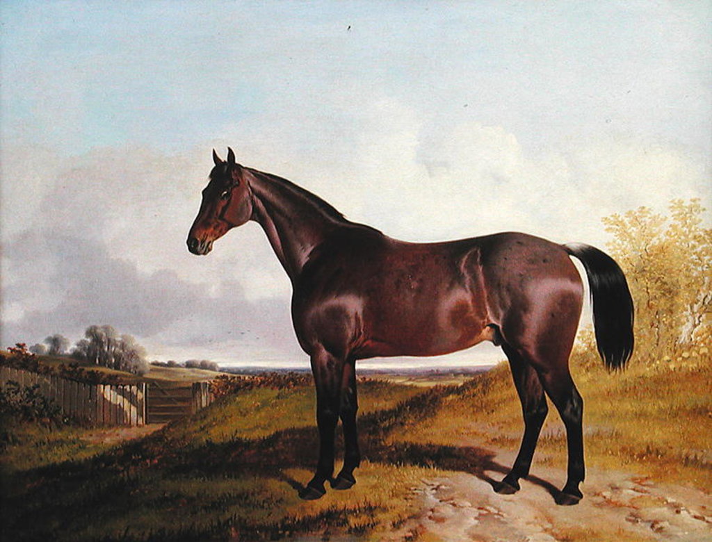 Detail of Study of a Bay Hunter in a landscape, 1854 by John Dalby