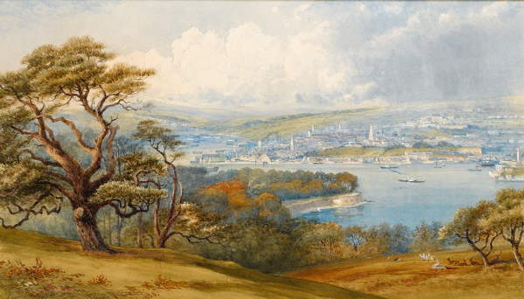 Detail of Devonport and Stonebridge from Mount Edgecombe Park, 1880 by Philip Mitchell
