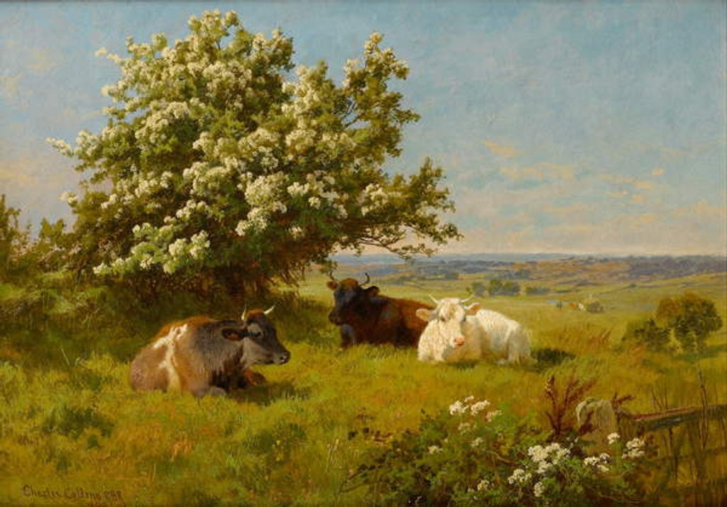Detail of Cows in a Meadow, 1899 by Charles Collins