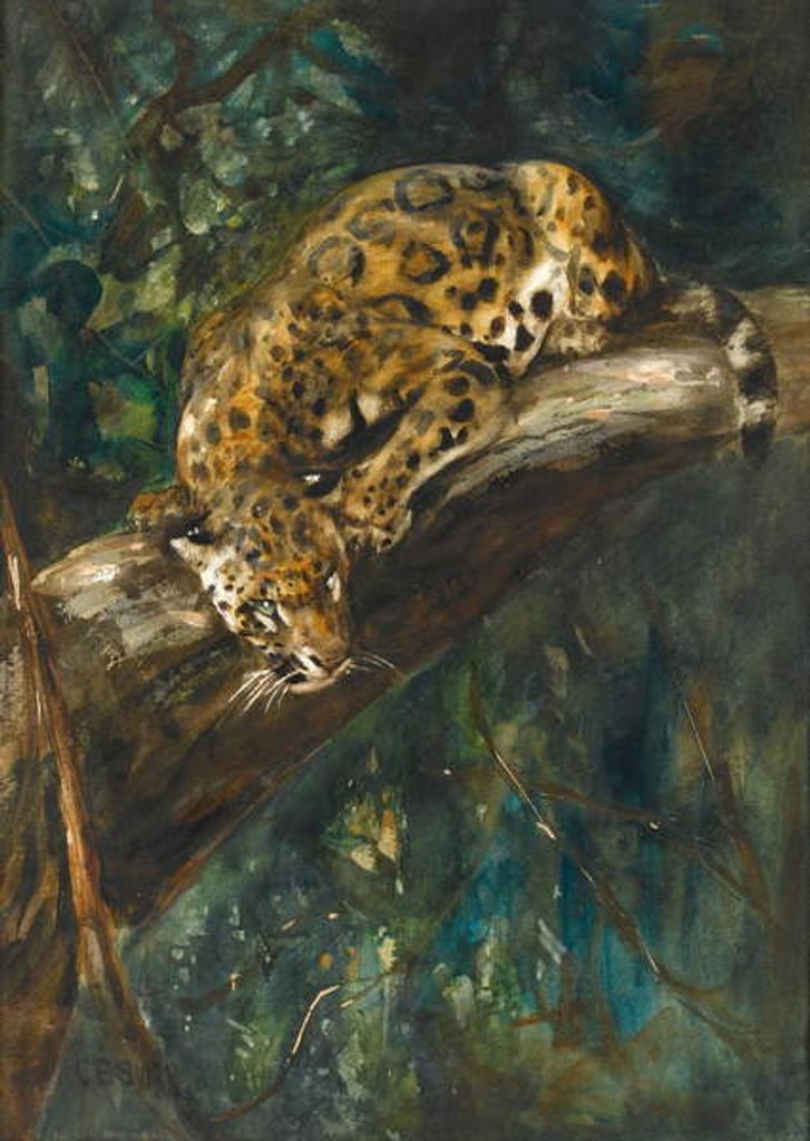 Detail of A Panther on a Branch by Cuthbert Edmund Swan