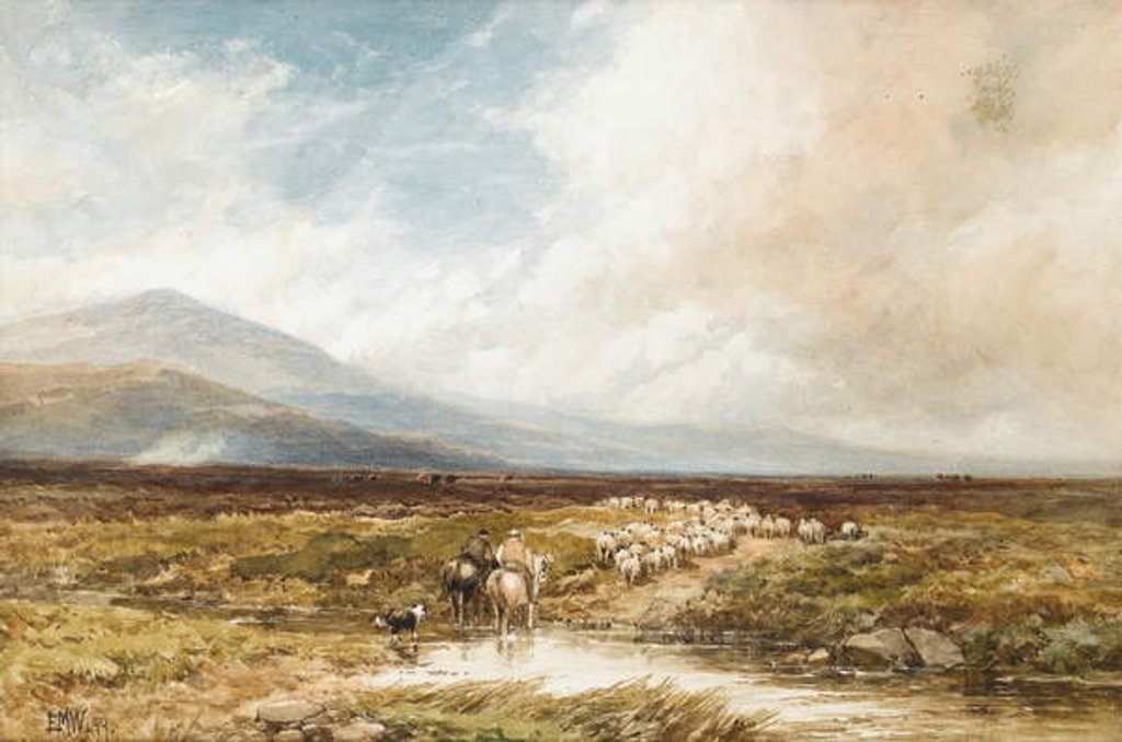 Detail of Tavy Cleave, Dartmoor, 1899 by Edmund Morison Wimperis