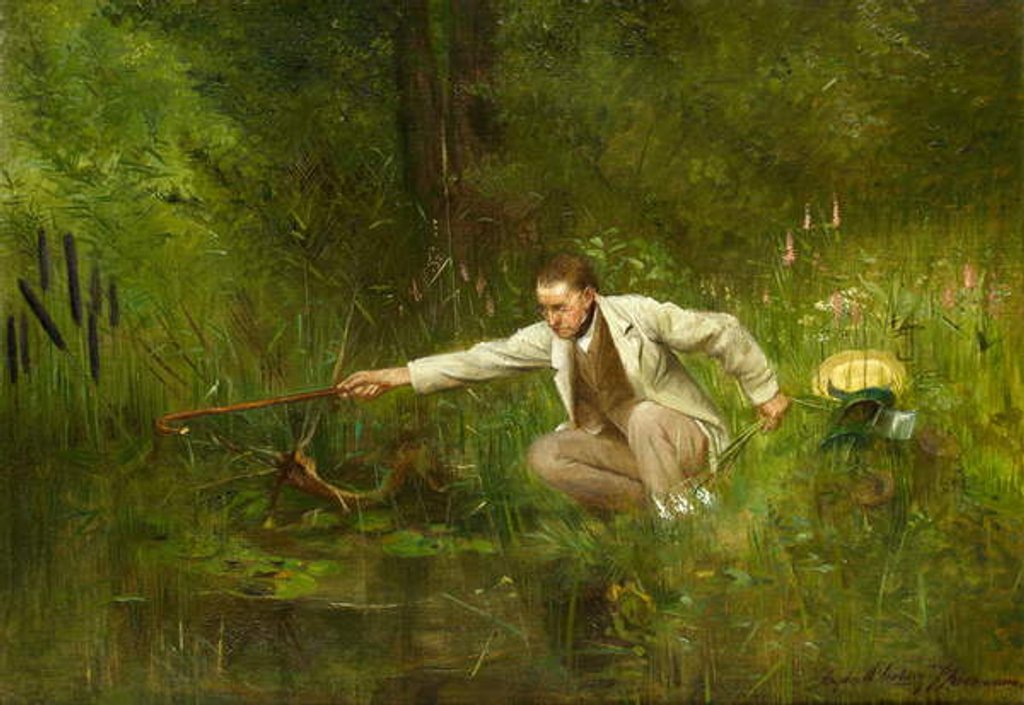 Detail of The Botanist…a perilous quest by Carl Ziermann