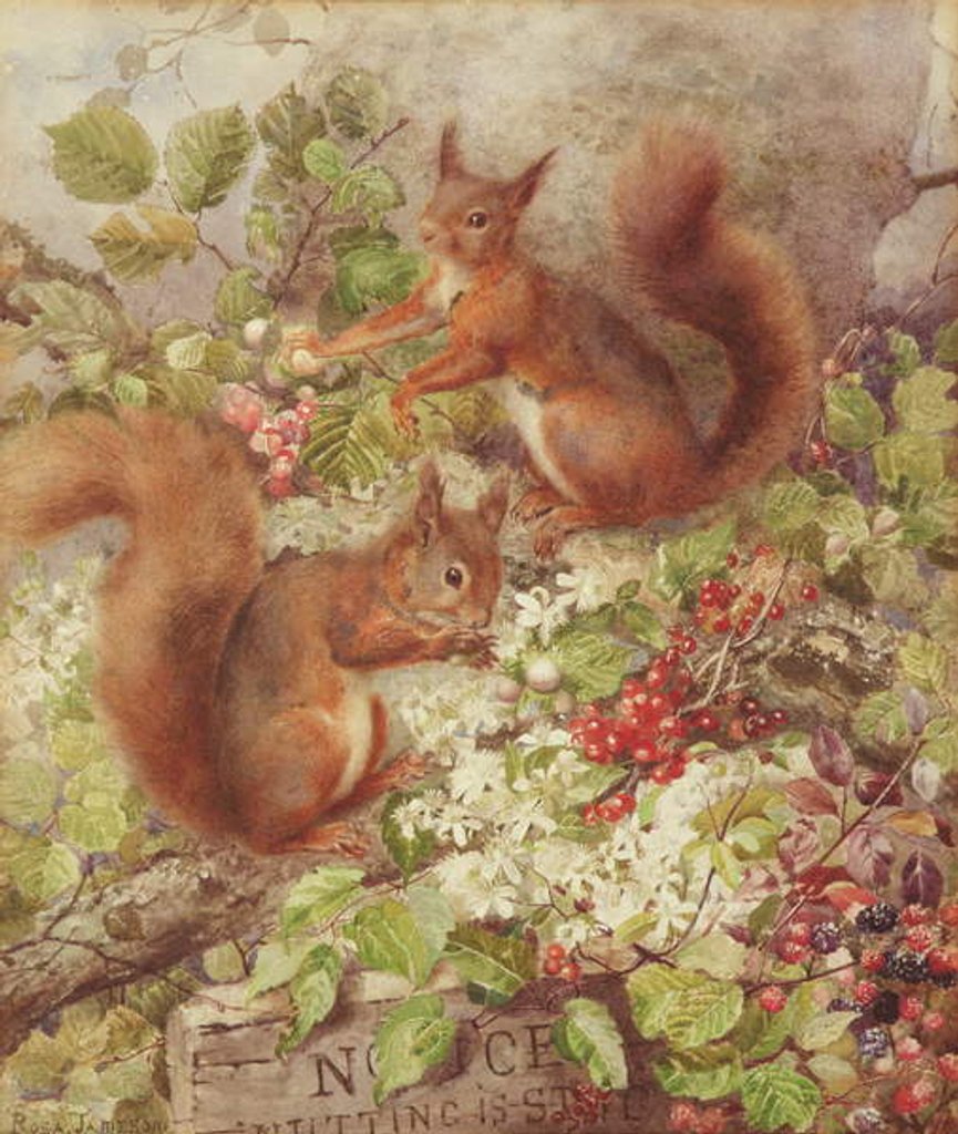 Detail of Red Squirrels Gathering Fruits and Nuts by Rosa Jameson
