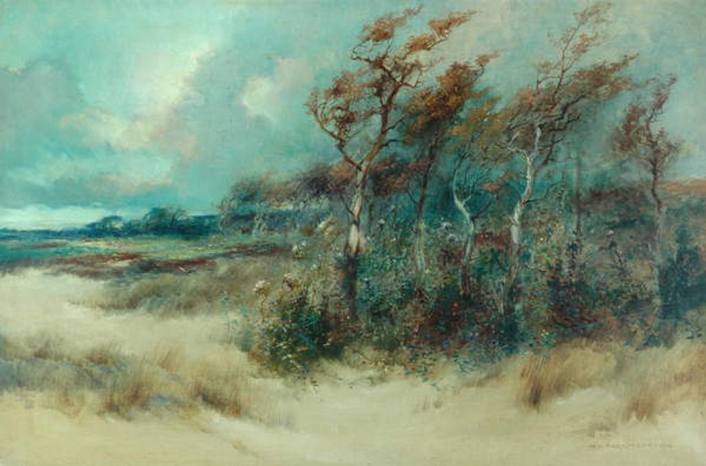 Detail of Trees in a Sandy Lane, Heysham, 1916 by William H. Parkinson