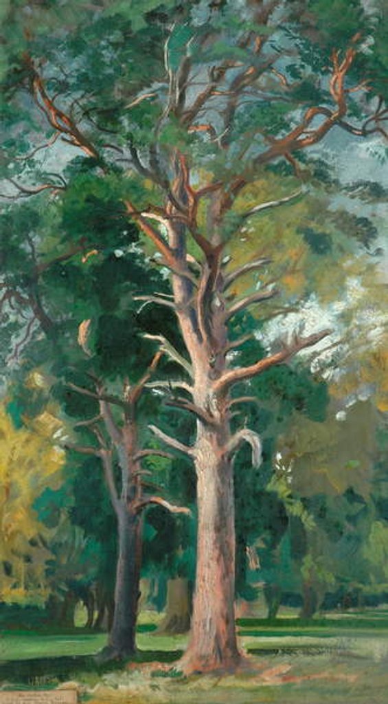 Detail of The Scotch Fir by William Bruce Ellis Ranken