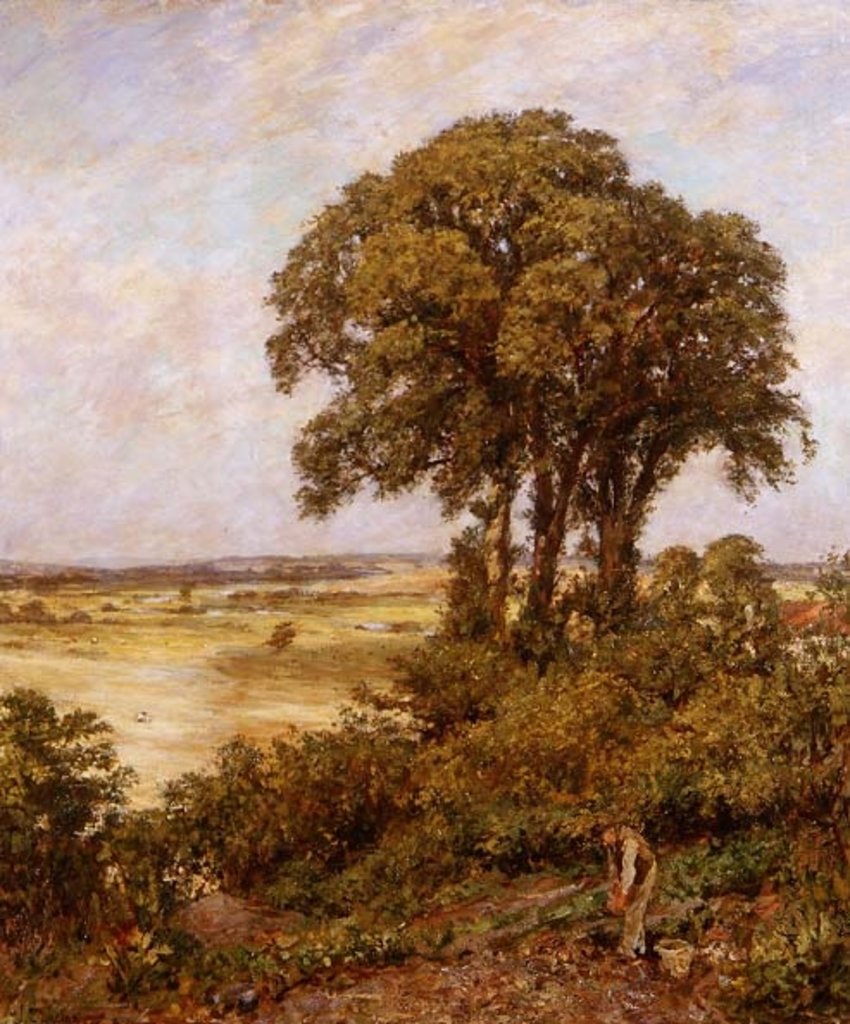 Detail of Landscape in Sussex, 1898 by James Charles