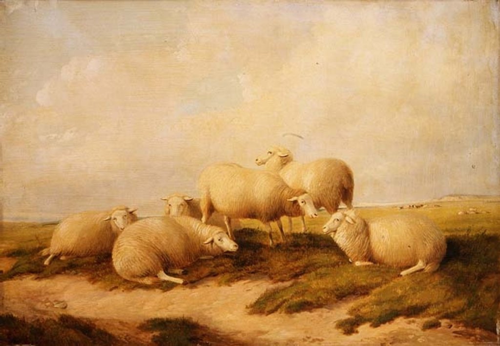 Detail of Sheep by Thomas Sidney Cooper