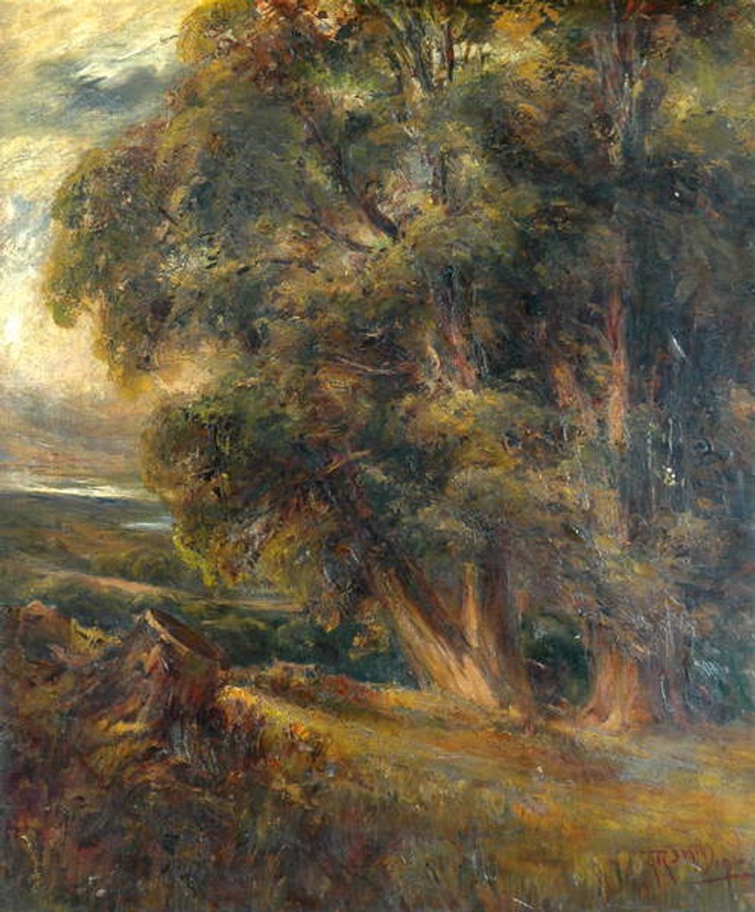Detail of Tree study by Arthur Reginald Smith