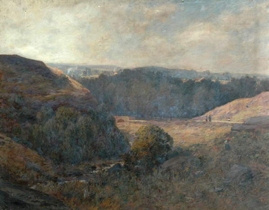 Detail of The glen, Eldwick by William Charles Rushton