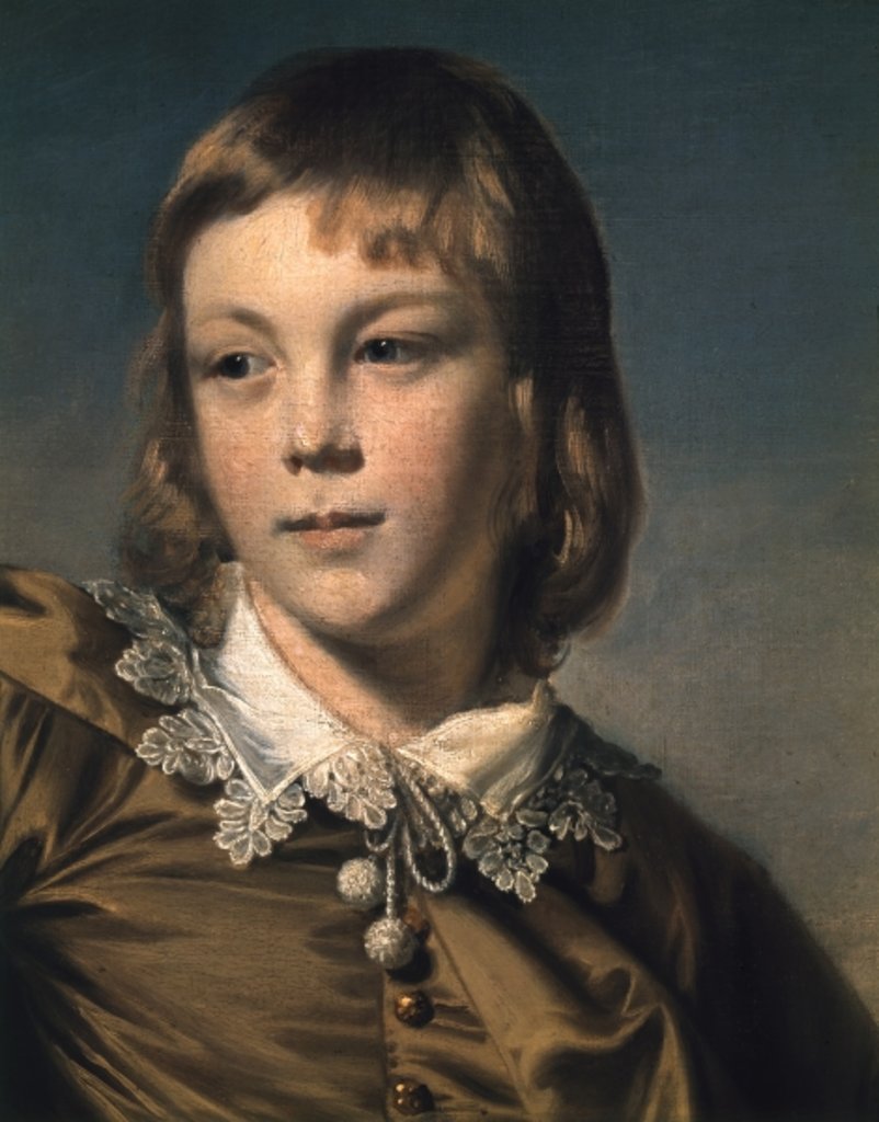 Detail of Master Thomas Lister, 1764 by Joshua Reynolds