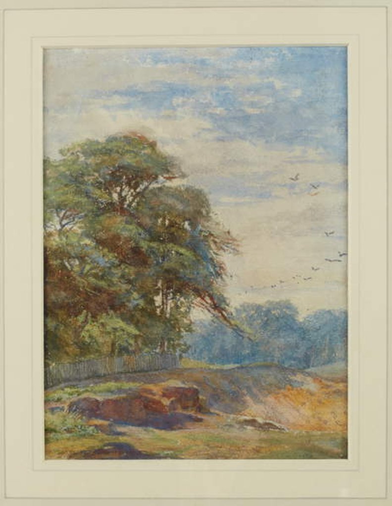 Detail of On Hampstead Heath, 1867 by Helen Allingham