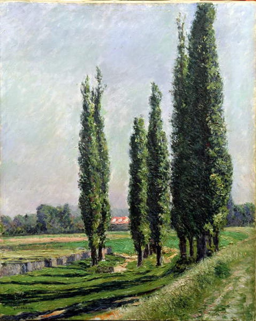 Detail of Poplars on the Riverbank at Argenteuil by Gustave Caillebotte