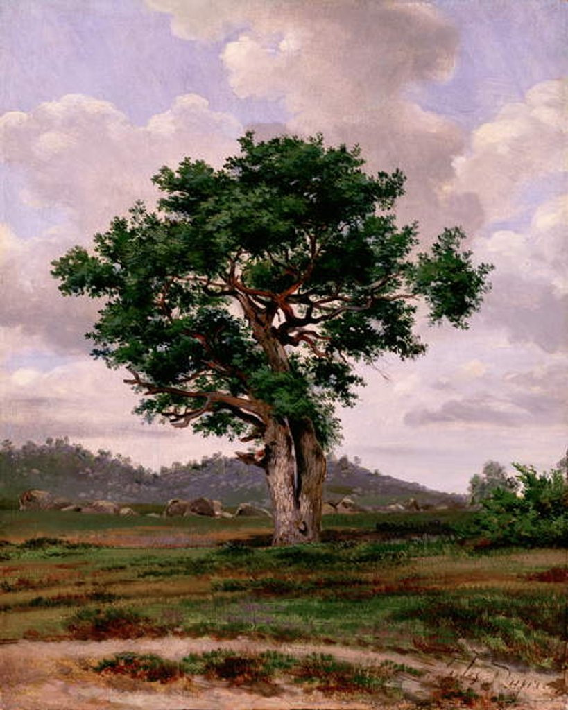 Detail of Le Rageur by Jules Dupre