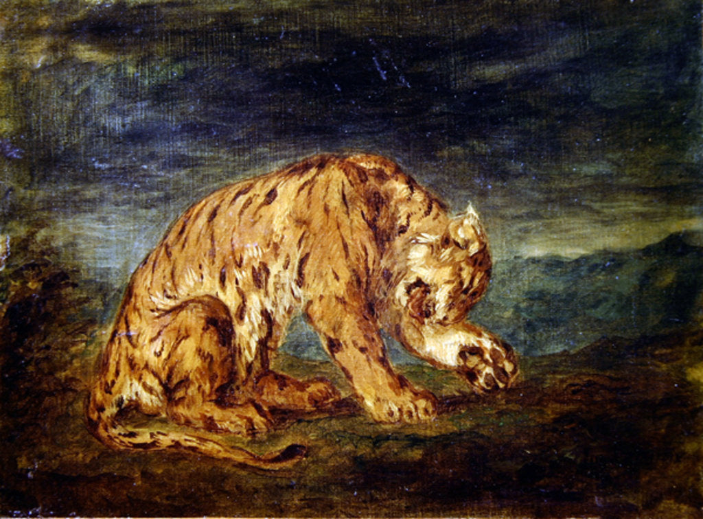 Detail of Tiger licking a paw by Ferdinand Victor Eugene Delacroix