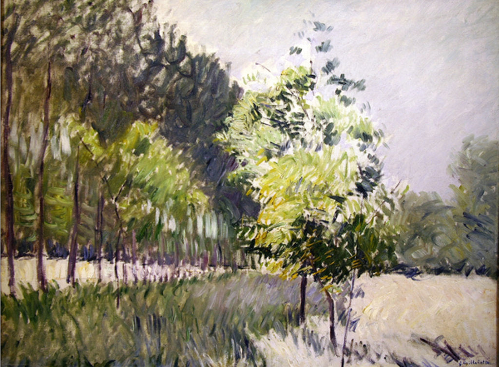 Detail of Orchard and avenue of trees by Gustave Caillebotte