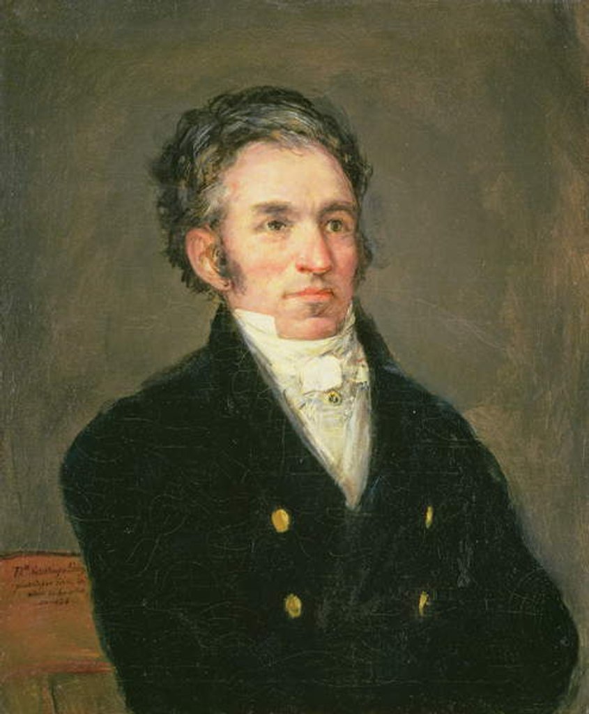 Detail of Dr. Galos, c.1826 by Francisco Jose de Goya y Lucientes