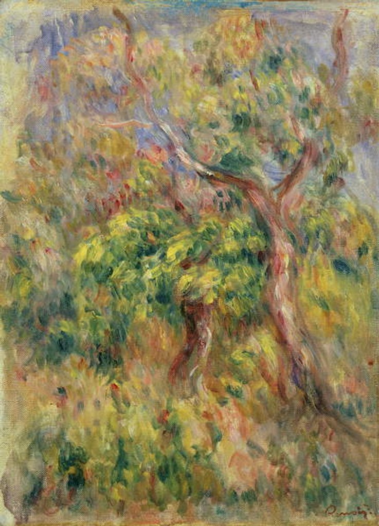 Detail of Trees, 1915-16 by Pierre Auguste Renoir