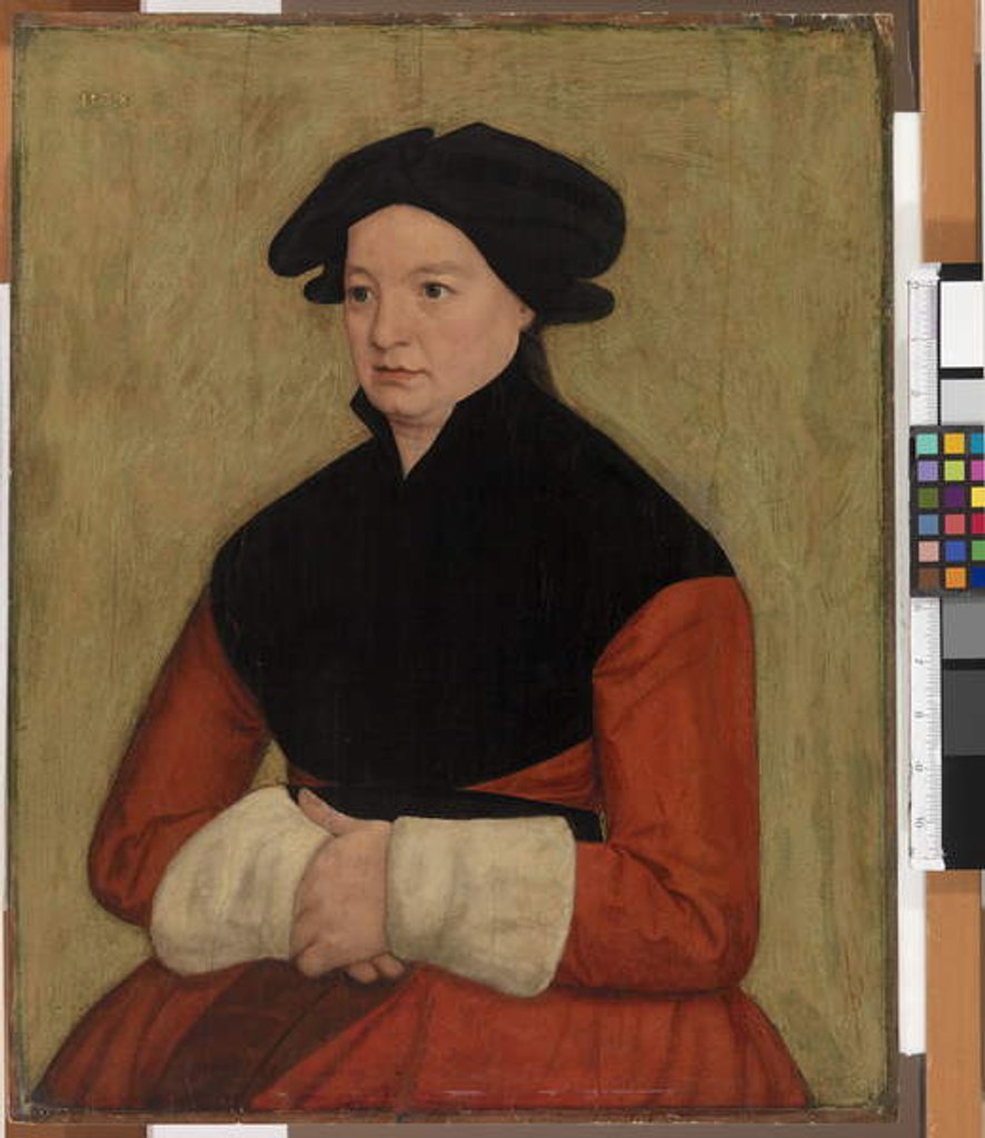 Detail of Portrait of a Woman, 1578 by German School