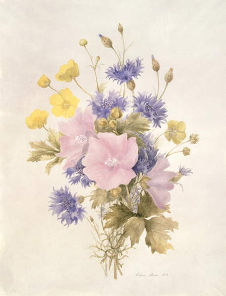 Detail of Field Flowers, 1842 by French School