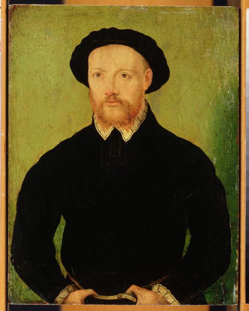 Detail of Man with a Red Beard by Corneille de Lyon